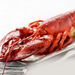 Extra 1 lb Live Lobster Add-On image number 0
