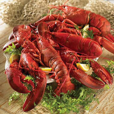 Big Daddy 3-4 lb. Lobster Add-On