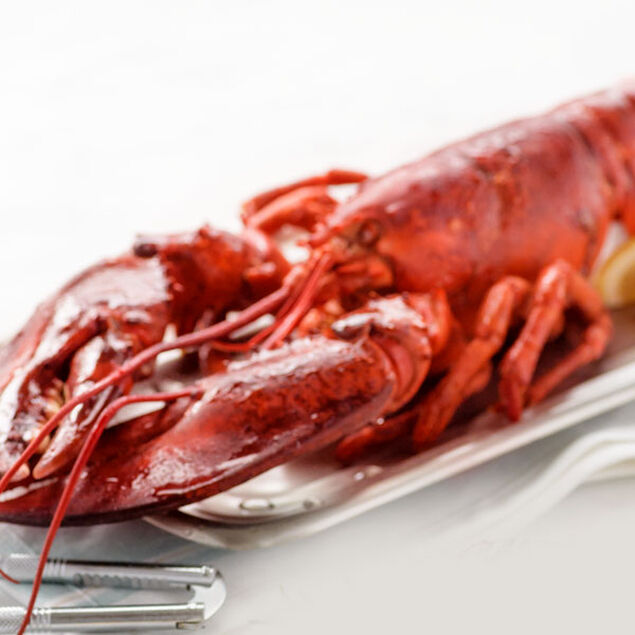 Extra 2 lb Live Lobster Add-On image number 0