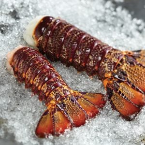 New Zealand Lobster Tails