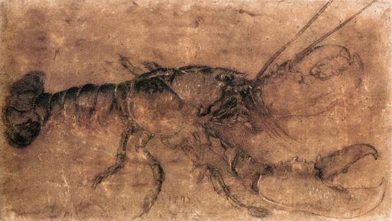 Albrecht Dürer painting lobster