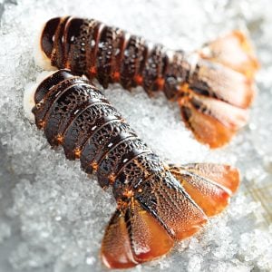 Tristan Lobster Tails