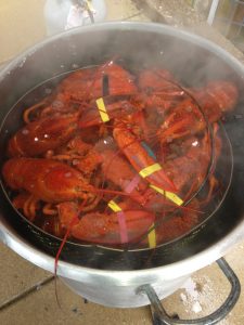Cooked Live Maine Lobster