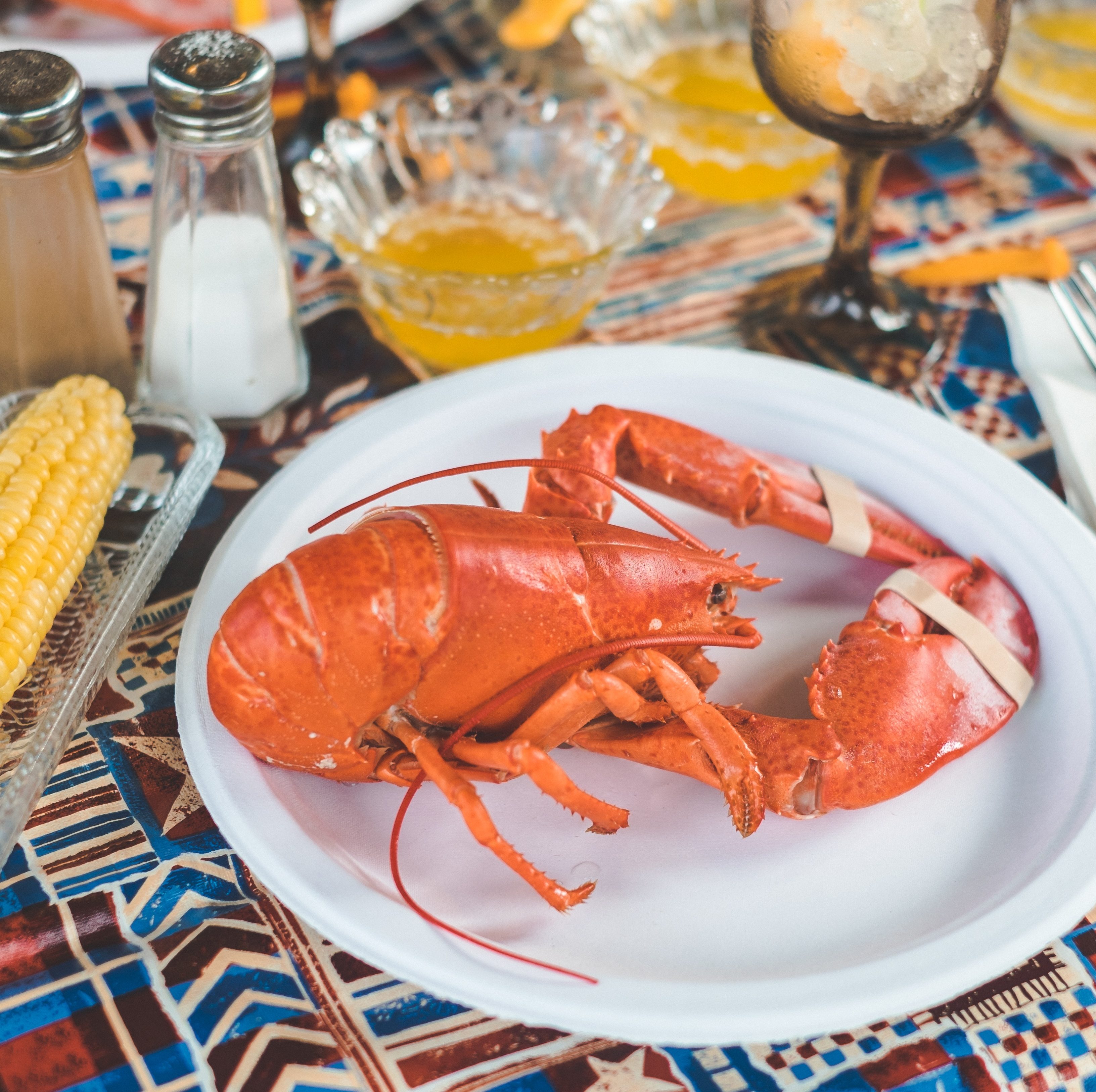 lobster on plate with tablespread of corn on the cob and drinks